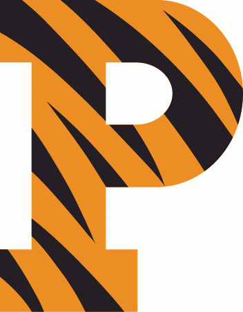 Princeton Tigers 1984-Pres Primary Logo iron on transfers for T-shirts